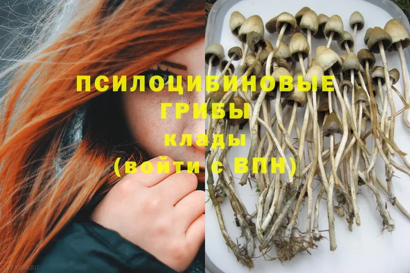 Галлюциногенные грибы MAGIC MUSHROOMS  кракен вход  Елизово  купить  цена 